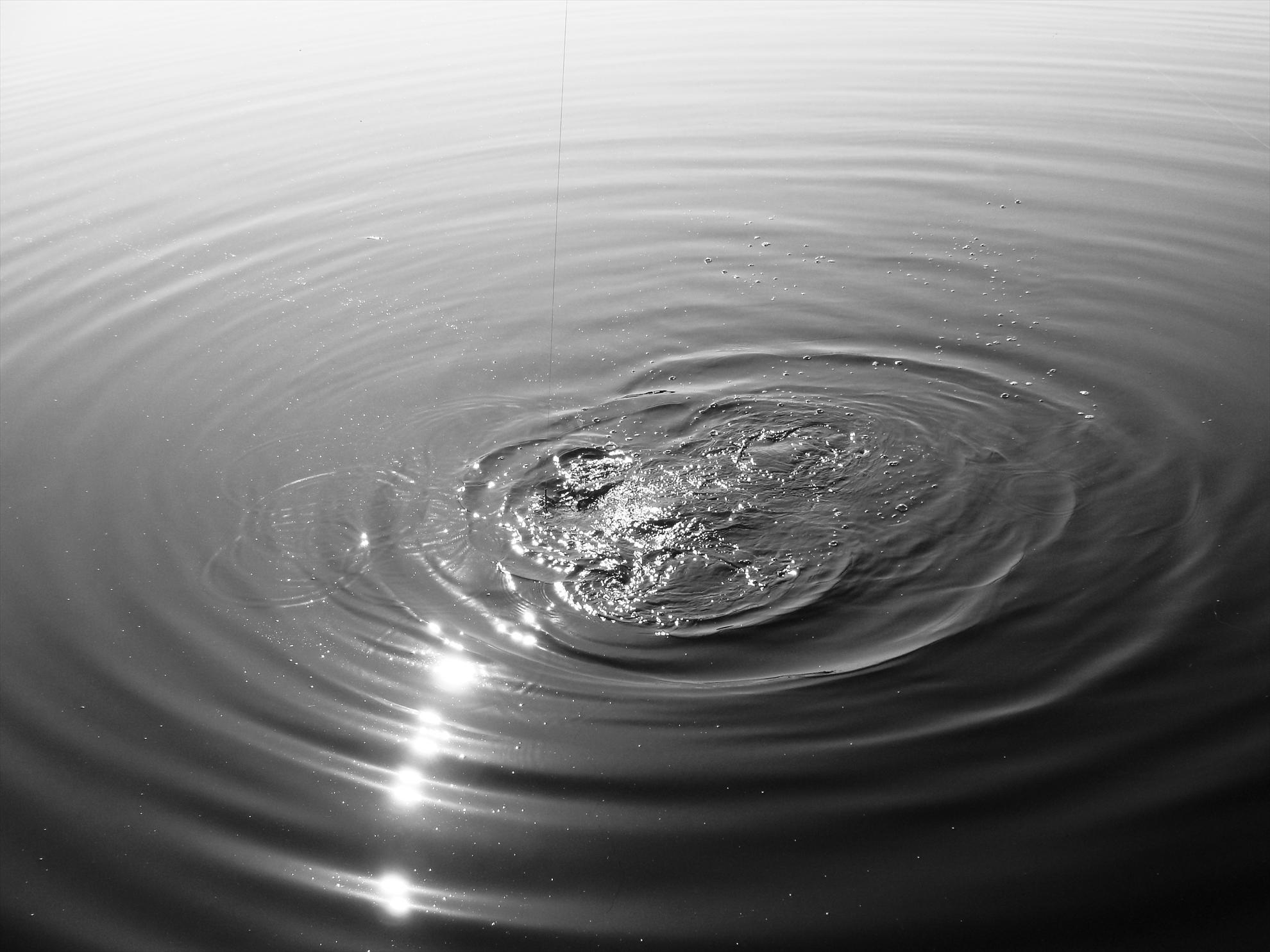 Moara Vlasiei 2 23 - 24 iun. - dsc00770.JPG